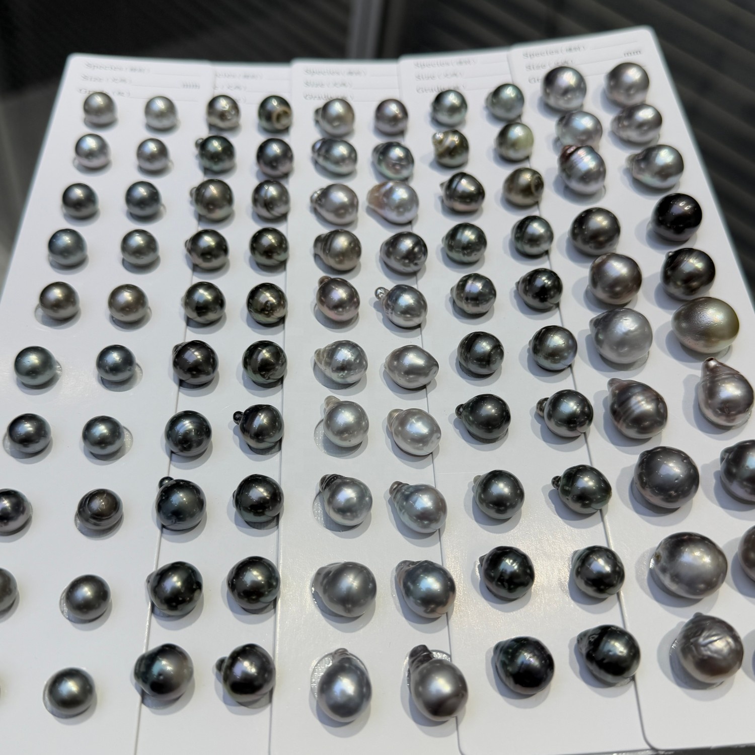 Wholesale Saltwater Tahitian Pearl Genuine Natural Loose Pearls Price for Pair
