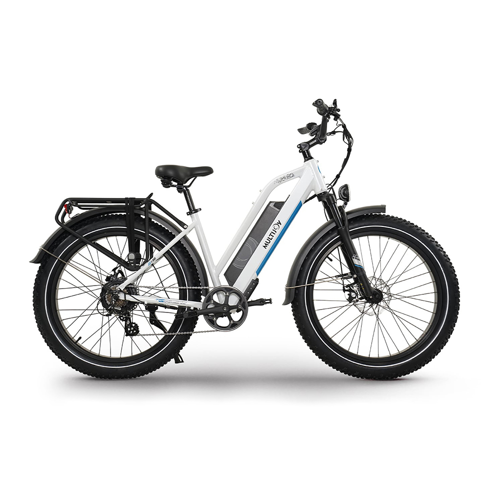 Gyroor 7 Speed Electric Mountain Bike Aluminum Frame 750w 48V 20ah Electric Bicycle 26" Electric Bike E Bike Fast Speed Ebike