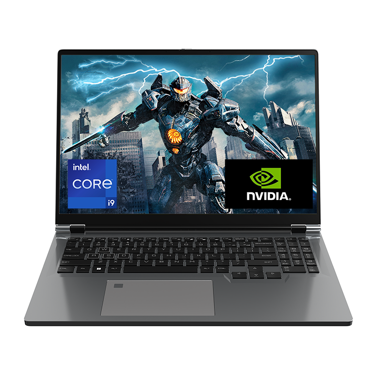 New 16" IPS 16:10 Laptop Win 11 Pro Intel 13th Gen Core I9-13900H 16GB RAM 144Hz SSD for Gaming RTX 4060 Dedicated