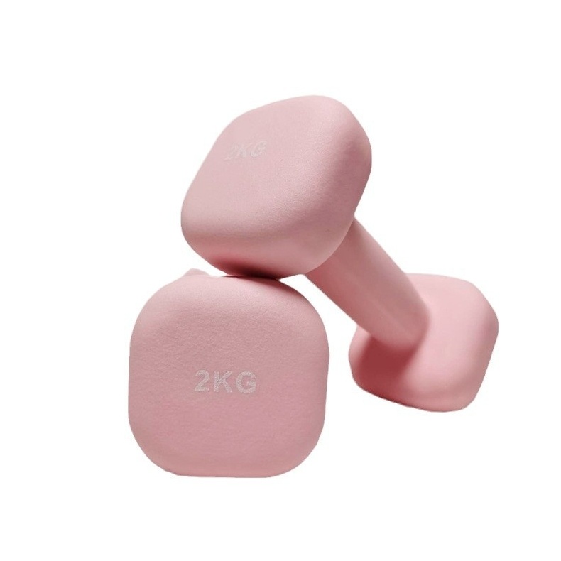 Vinyl Coated Dumbbell Wholesale Colorful Dumbbells with Non-slip Grip for Gym Muscle Training Bodybuilding