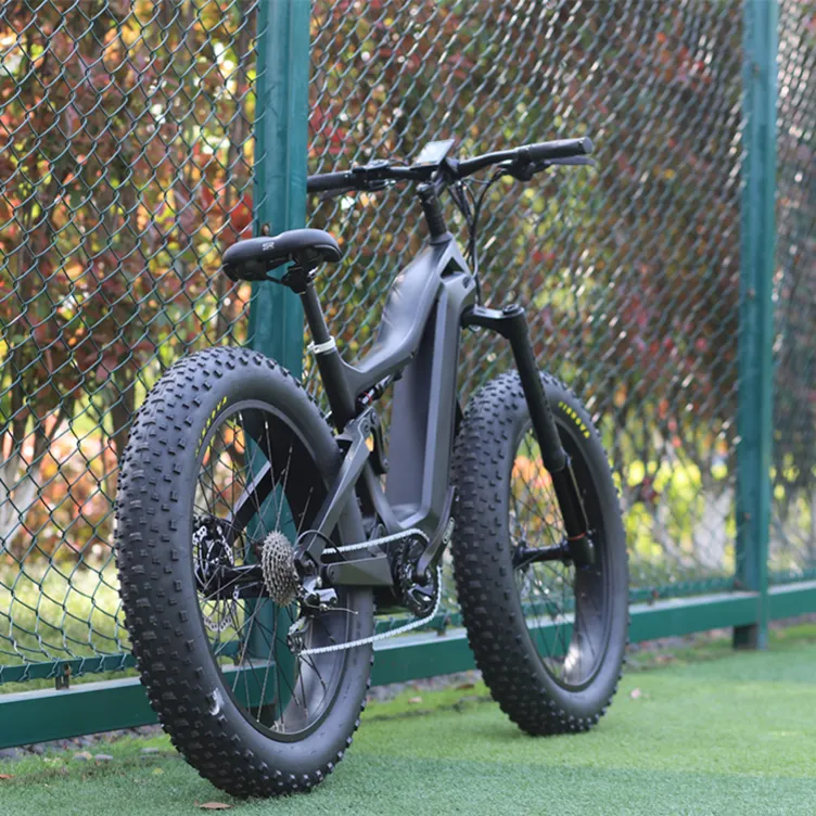 Carbon Fiber T700 Frame 1000W Electric  Ebike ultra M620 Mid Motor Mountain Ebike